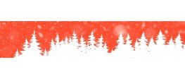 I migliori prezzi di Natale sugli ecoscandagli
